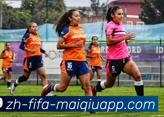 2026世界杯买球平台生态图